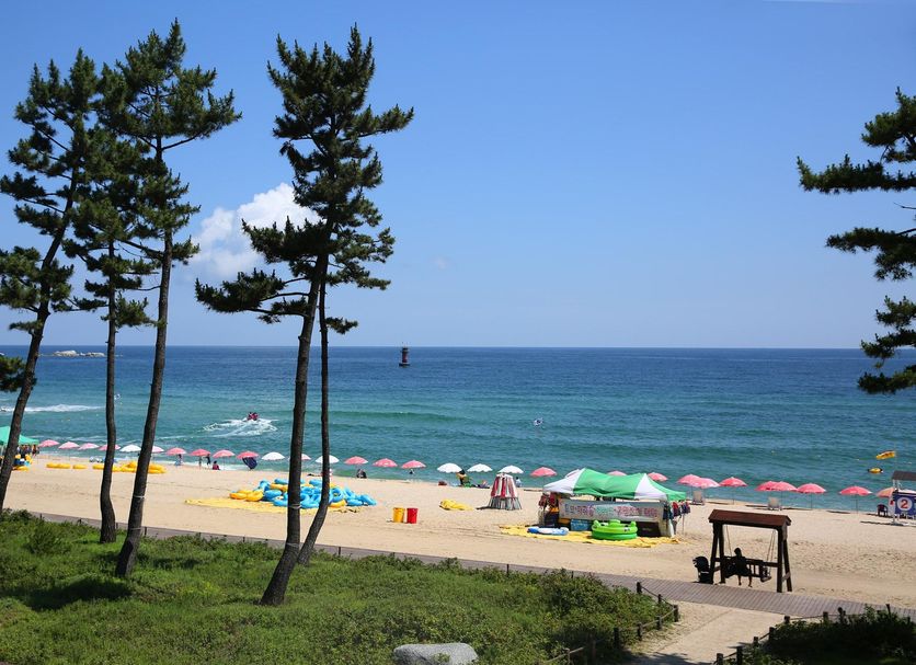 ชายหาด รูปภาพ