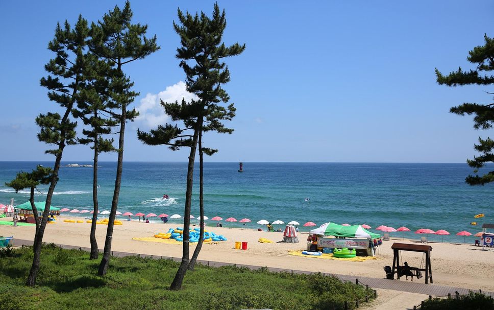 ชายหาด รูปภาพ