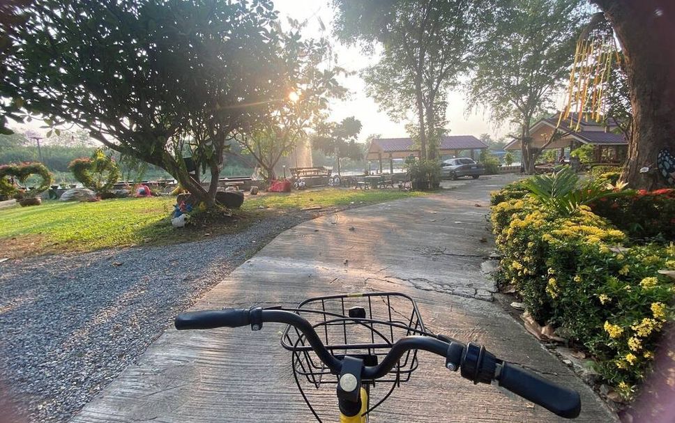 ลาน รูปภาพ