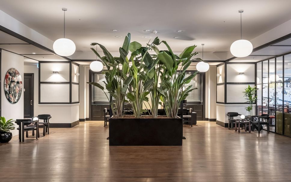 ล็อบบี้ รูปภาพ