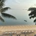 ชายหาด