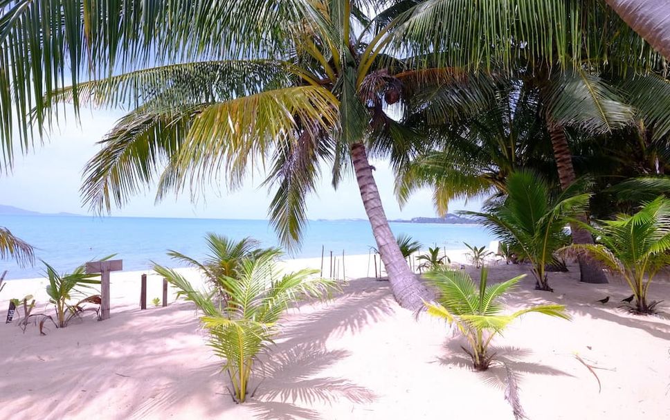 ชายหาด รูปภาพ