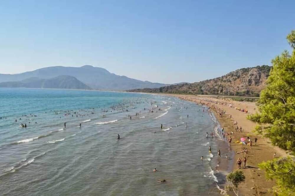 ชายหาด