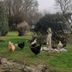 อื่น ๆ