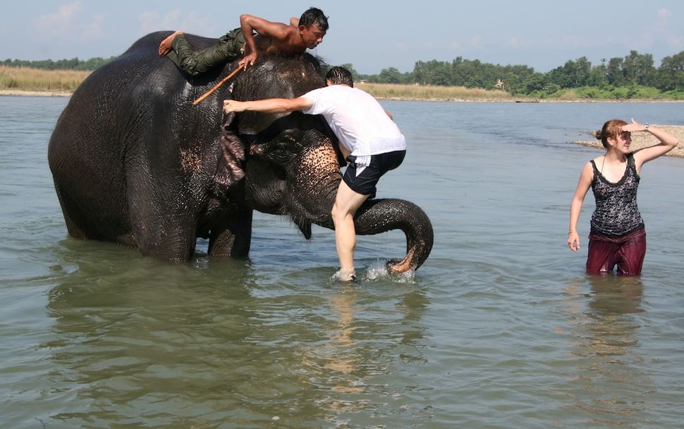 อื่น ๆ รูปภาพ
