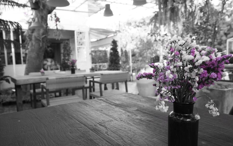 ร้านอาหาร รูปภาพ