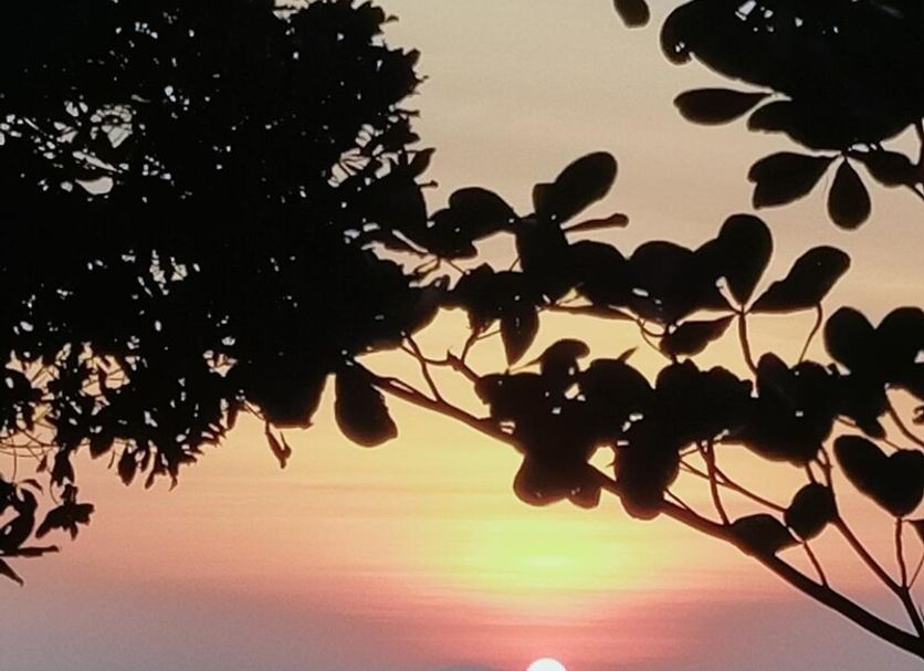 ชายหาด รูปภาพ