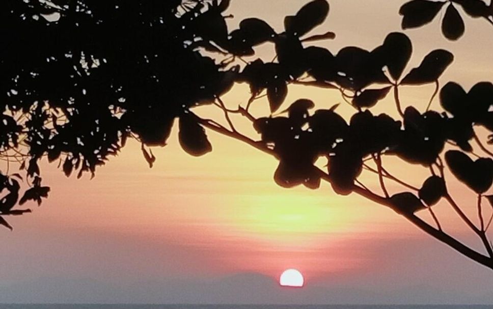 ชายหาด รูปภาพ