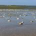 ชายหาด