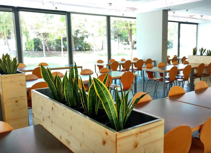ร้านอาหาร รูปภาพ