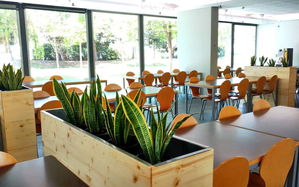 ร้านอาหาร รูปภาพ