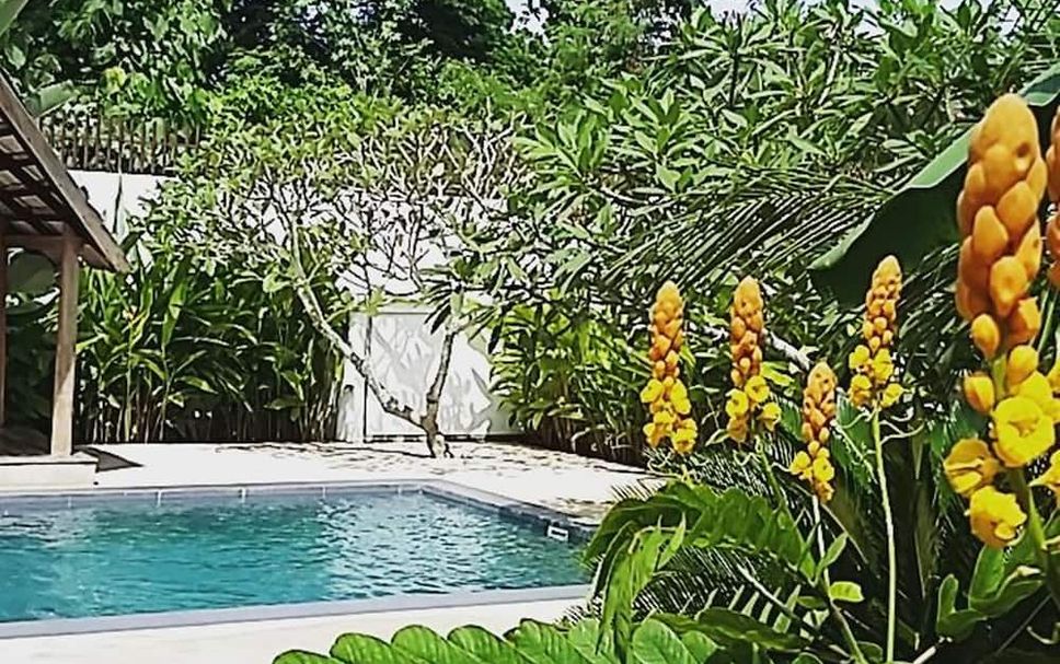 สระว่ายน้ำ รูปภาพ