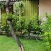 วิวภายนอก