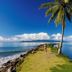 อื่น ๆ