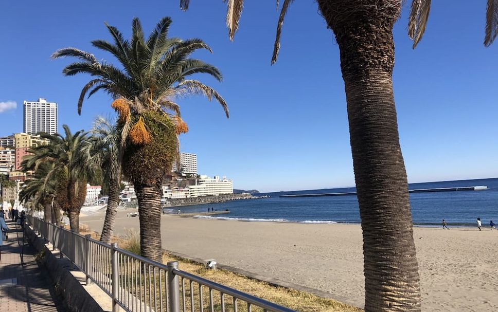 ชายหาด รูปภาพ