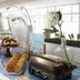 บุฟเฟ่ต์