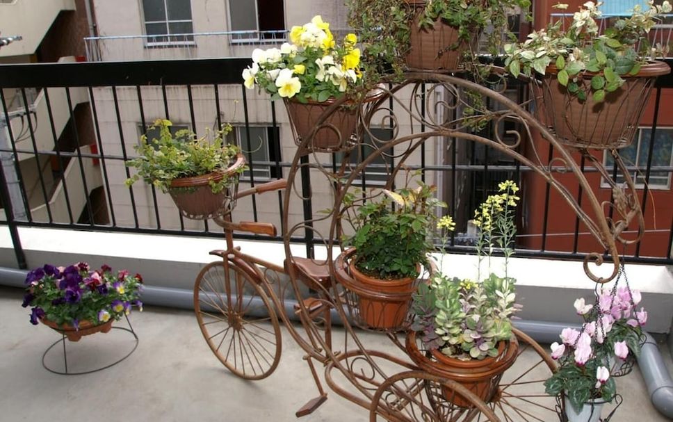 ระเบียง รูปภาพ