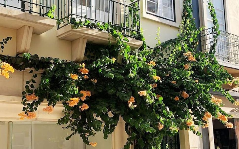 อาคาร รูปภาพ