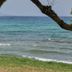 ชายหาด