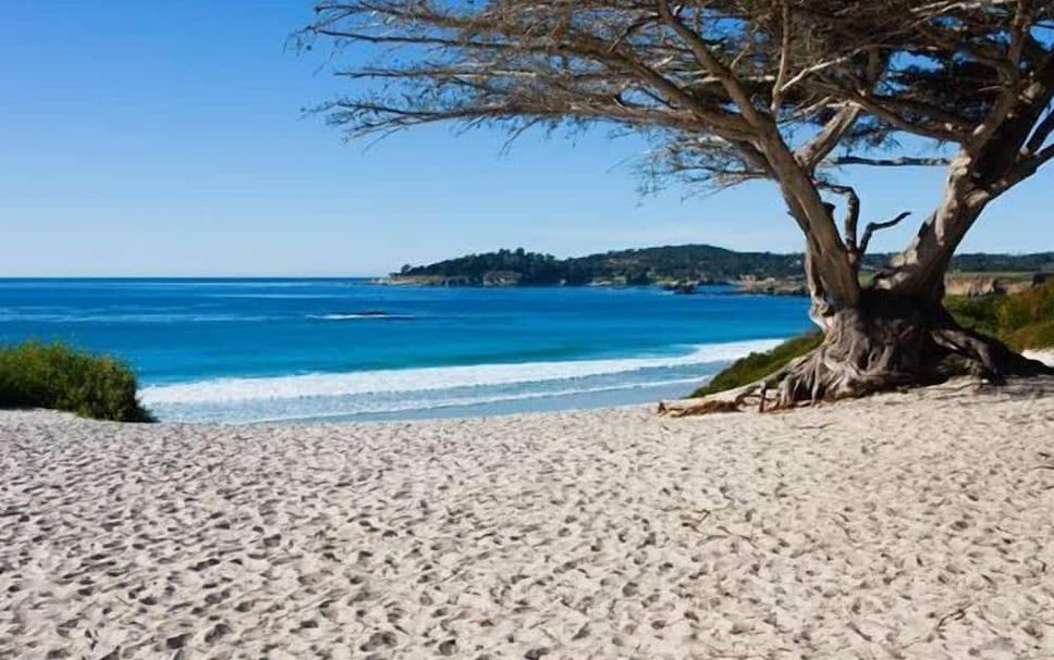 ชายหาด รูปภาพ