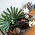 อื่น ๆ
