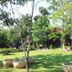 วิวภายนอก