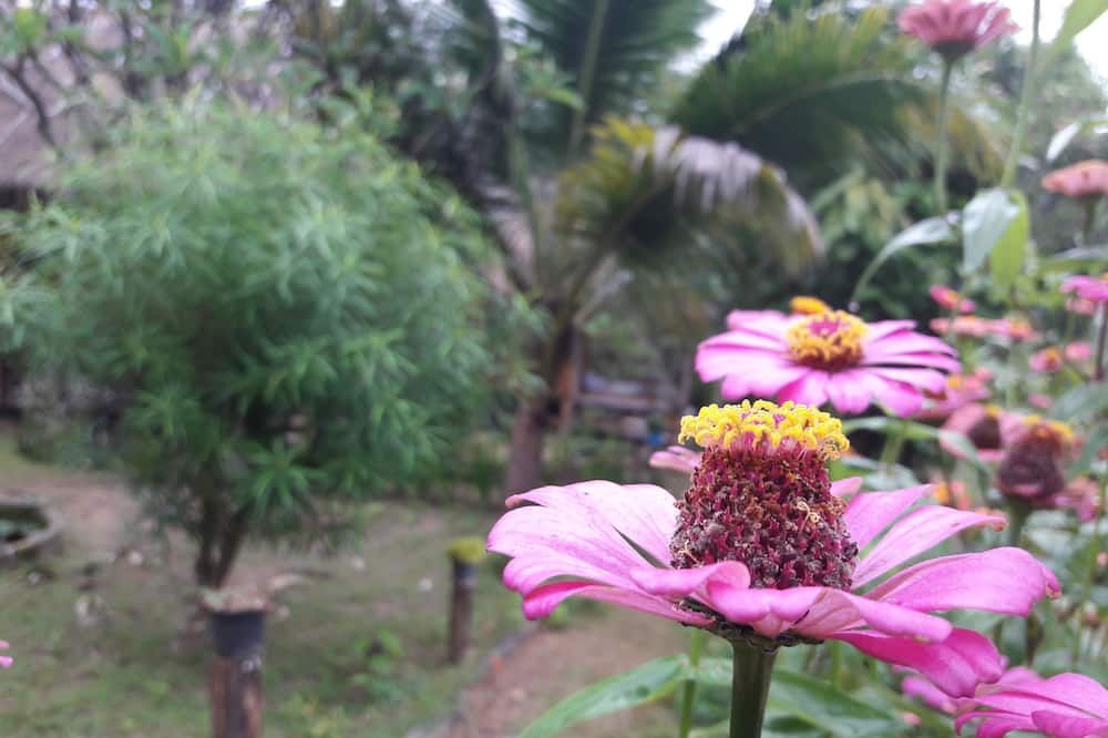 วิวภายนอก