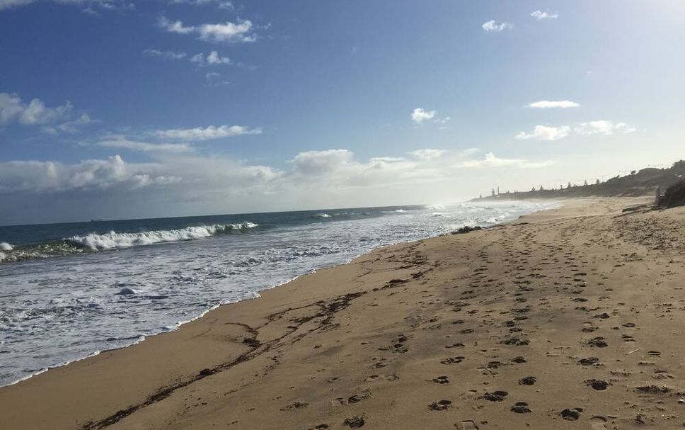 ชายหาด รูปภาพ