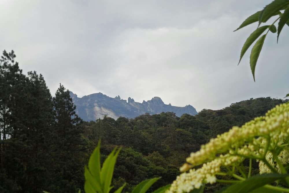 วิวภายนอก รูปภาพ