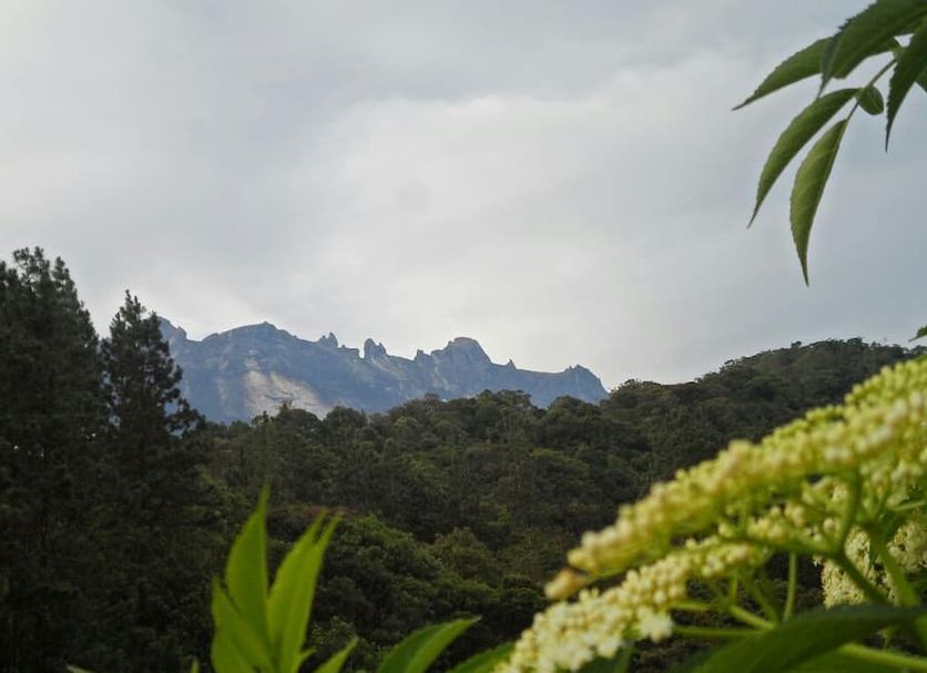 วิวภายนอก รูปภาพ