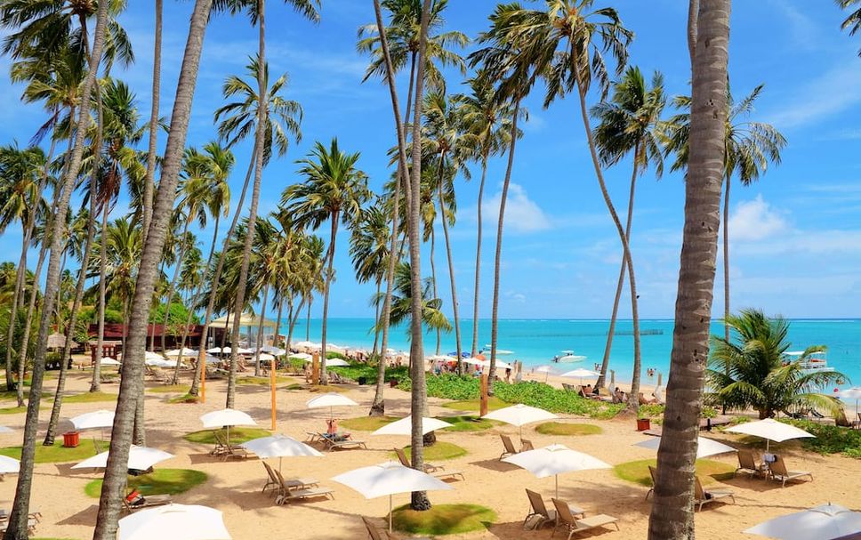 ชายหาด รูปภาพ