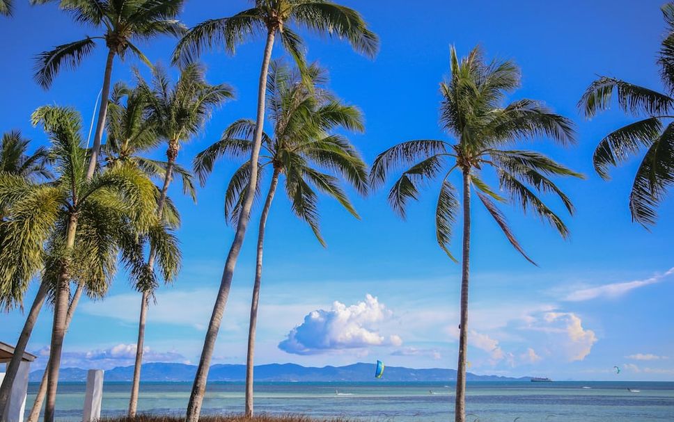 ชายหาด รูปภาพ