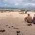 ชายหาด