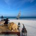 ชายหาด