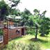 อื่น ๆ