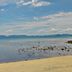 ชายหาด