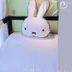 อื่น ๆ