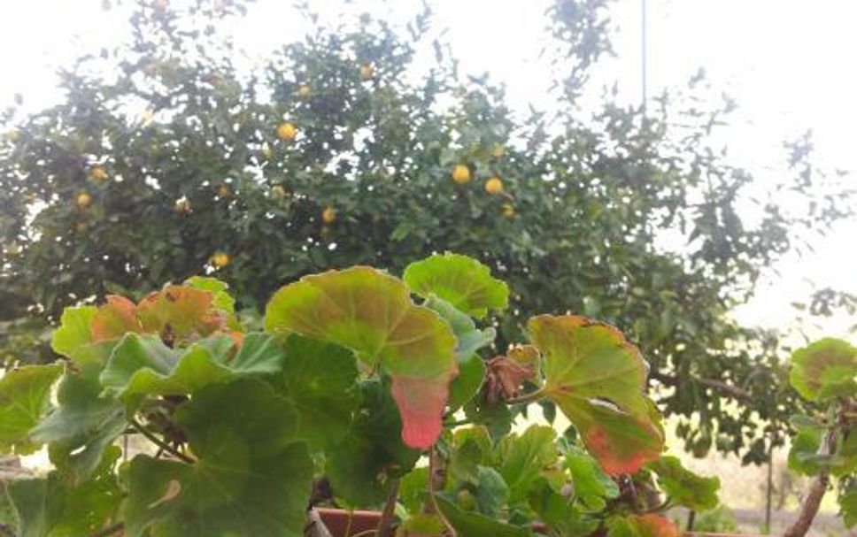 วิวภายนอก รูปภาพ