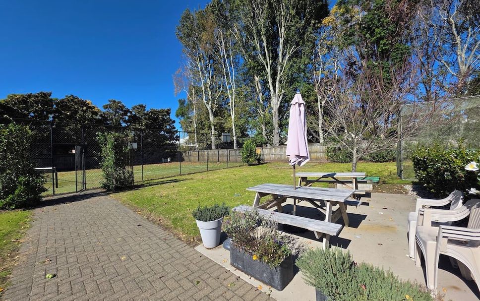 ลาน รูปภาพ