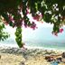 ชายหาด