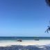 ชายหาด