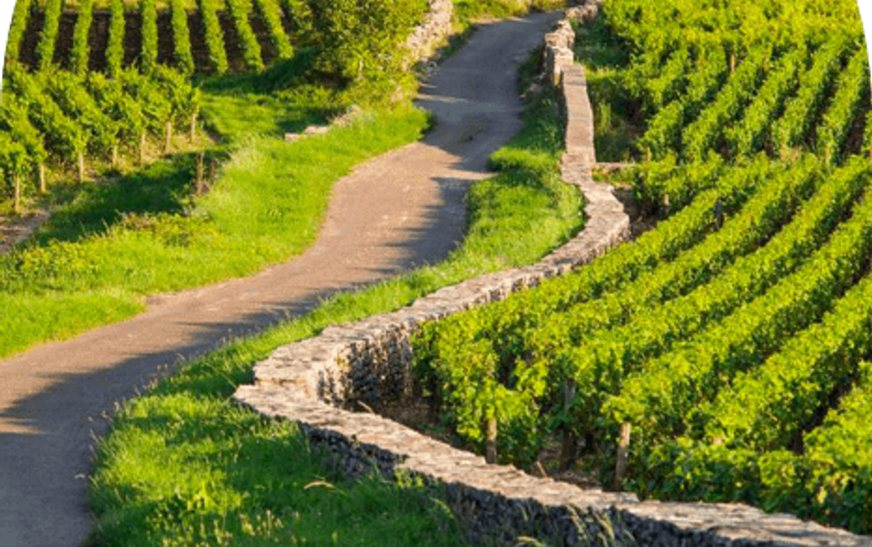 อาคาร รูปภาพ