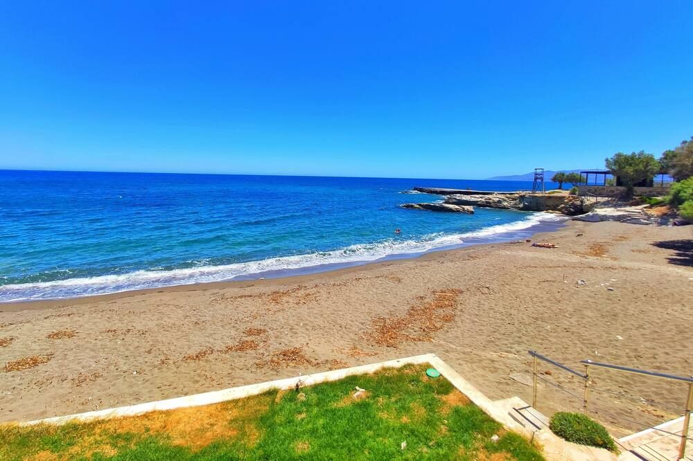ชายหาด