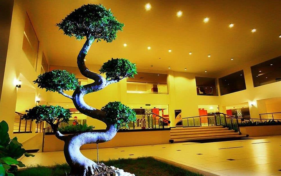 ล็อบบี้ รูปภาพ