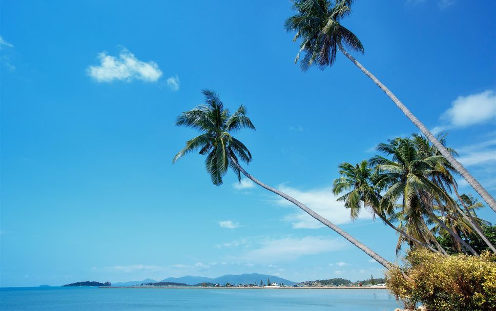 ชายหาด รูปภาพ