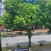 วิวภายนอก