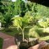 วิวภายนอก