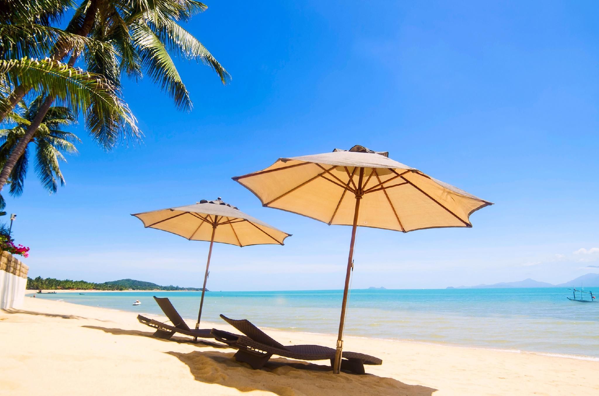 ชายหาด รูปภาพ
