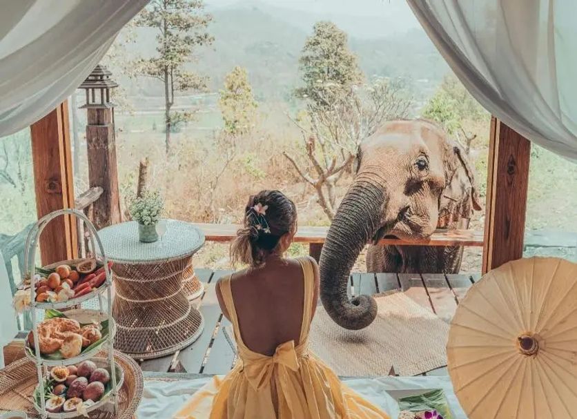 อื่น ๆ รูปภาพ
