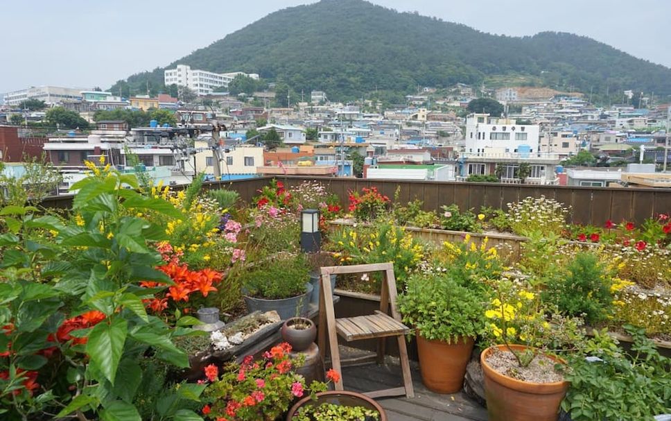 ระเบียง รูปภาพ